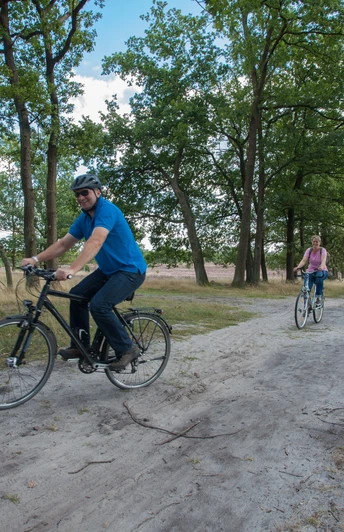 schafstall-heide-radtour-niederhaverbeck