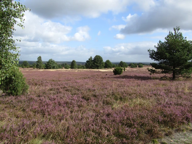 am-pastor-bode-weg-heide