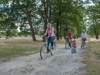 heide-radtour-naturschutzgebiet-bispingen