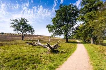 wanderweg-heide