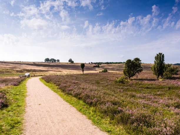 rollstuhlwanderweg-heide-niederhaverbeck