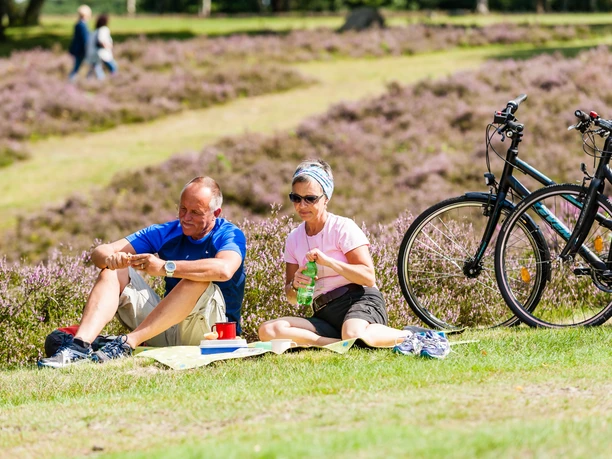 pause-lüneburger-heide-bispingen