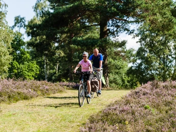 rad-lueneburger-heide-tour