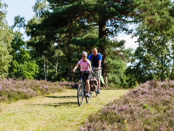 rad-lueneburger-heide-tour
