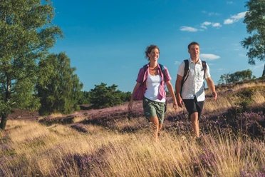 wanderung-heide-natur
