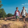 wanderung-heide-natur