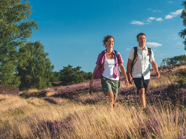 wanderung-heide-natur