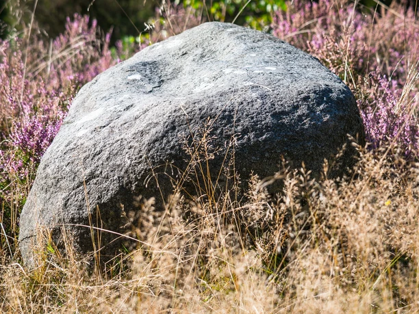 findling-lueneburger-heide
