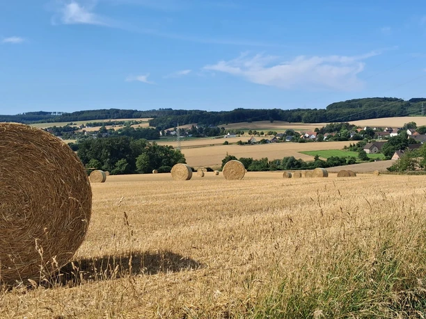 Heuballen auf dem Feld mit Blick auf Bentorf und grüne Hügel.