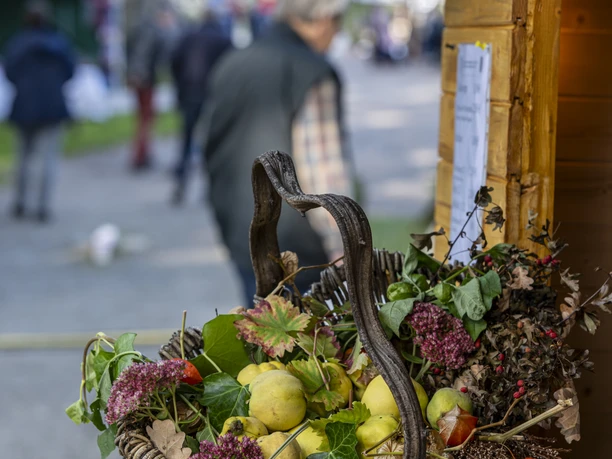 Muehlenfest_Mueden_ccbysa_mt_20230923-17.jpg