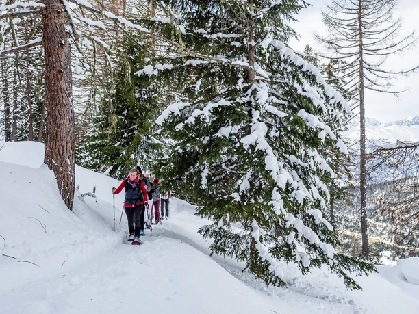 Schneeschuhlaufen im Ganterwald