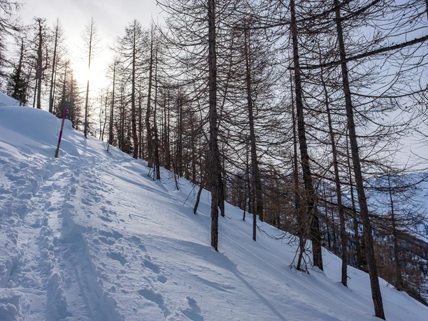 Schneeschuhlaufen Rothwald