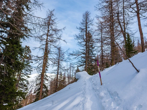 Wintertrail Rothwald