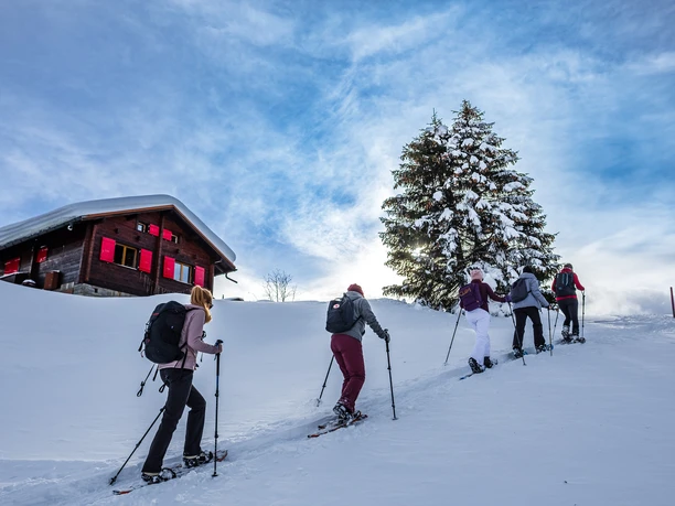 Schneeschuhlaufen Wasenalp