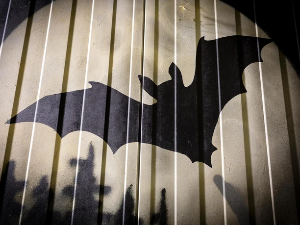 Schwarze Fledermaus-Silhouette auf beleuchteter Wand hinter senkrechten Metallstäben