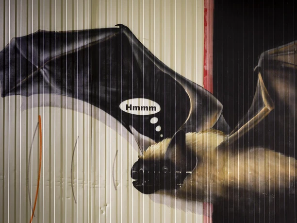 Graffiti einer Fledermaus am Fledermaustunnel in Hückeswagen mit Sprechblase „Hmmm“
