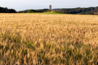 Friedens-Stele am Rand eines goldenen Getreidefelds vor bewaldeten Hügeln