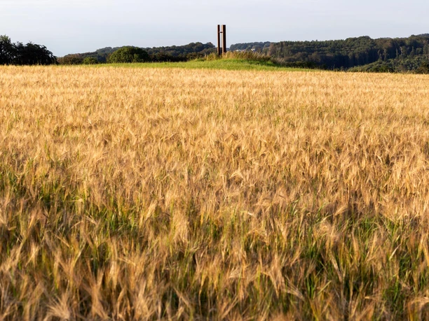 Friedens-Stele am Rand eines goldenen Getreidefelds vor bewaldeten Hügeln