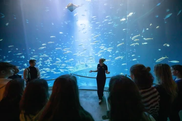 OZEANEUM_Fuehrung_Jugendliche_1M1A7459_Foto_Anke_Neumeister_DMM
