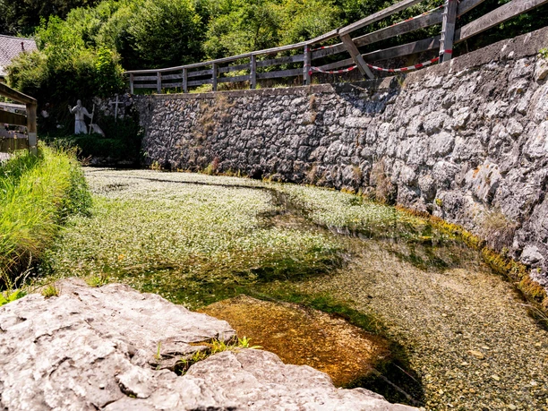Gallusquelle in Hermentingen
