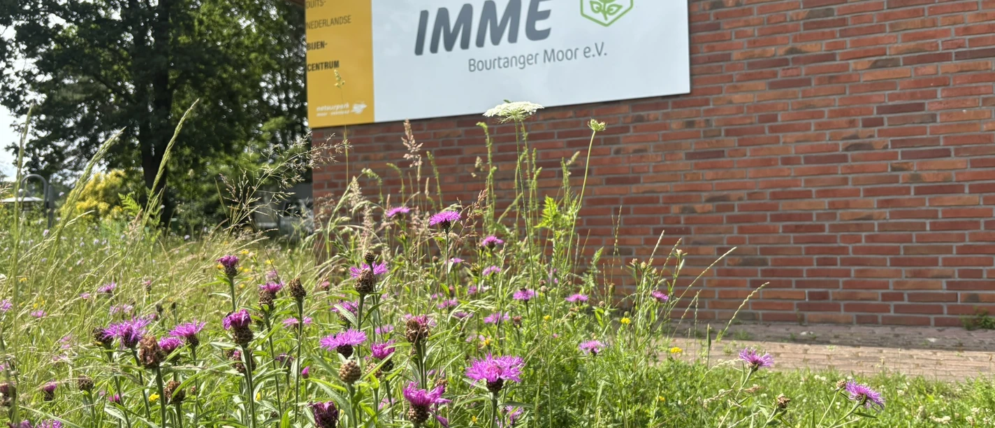 Die IMME lädt zum Sommerfest ein..JPEG