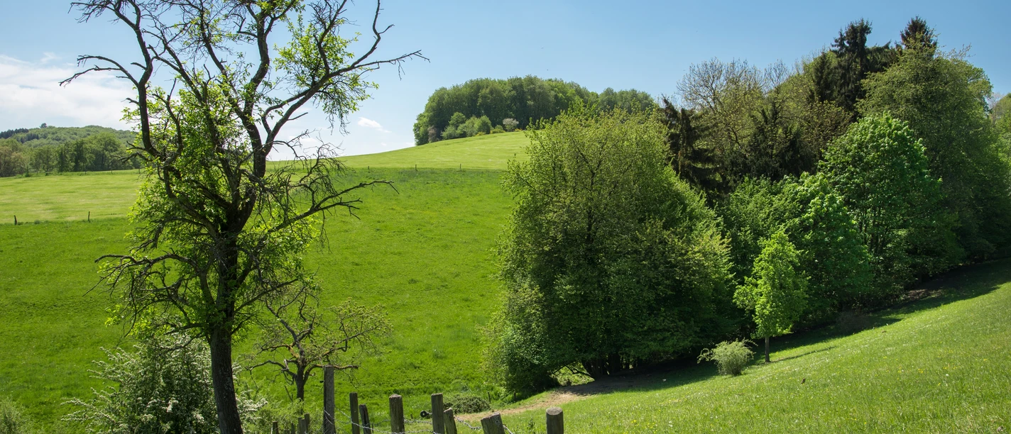 Landschaft bei Leuscheid