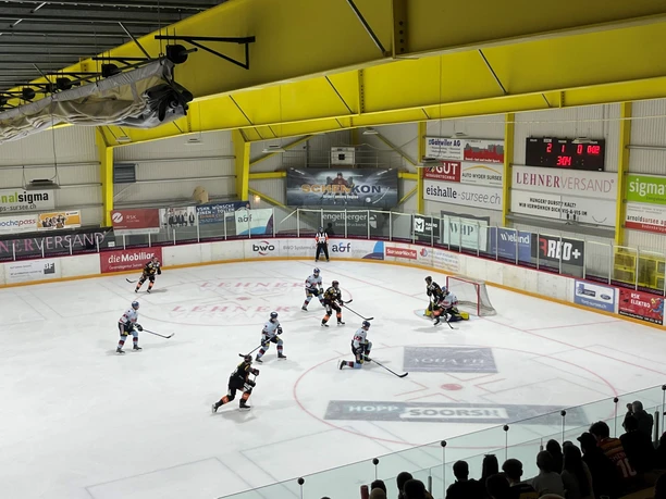 Eishalle Sursee Spiel