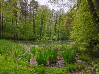 Schlosspark Agathenburg.jpg