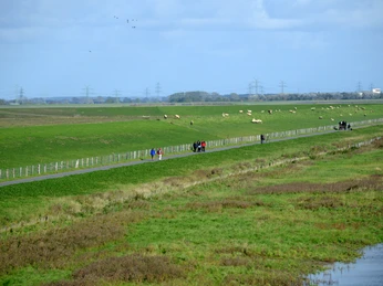 Freiburg an der Elbe, Vogelkieker,Bus,Kinder,Vogel,Vögel,Gänse,Nonnengänse,Wildgänse,Zugvögel,Außendeich,KVG,Natur,Wildganstage, Foto Freiburg an der Elbe, Vogelkieker,Bus,Kinder,Vogel,Vögel,Gänse,Nonnengänse,Wildgänse,Zugvögel,Außendeich,KVG,Natur,Wildganstage, Foto
