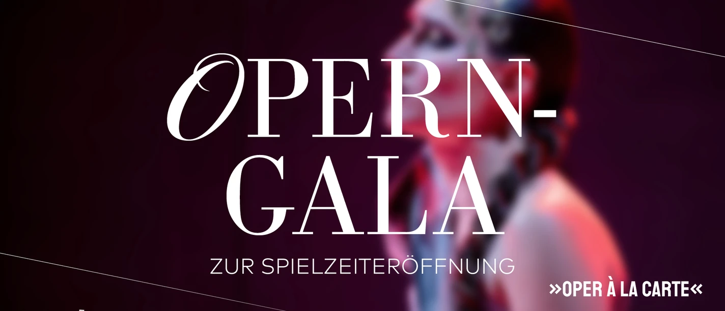 Operngala (c) LANDSIEDEL, MÜLLER, FLAGMEYER GmbH.jpg