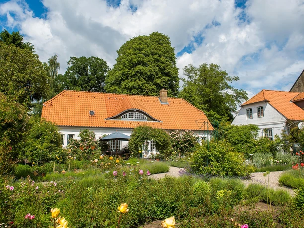 taff_noltemedia01877