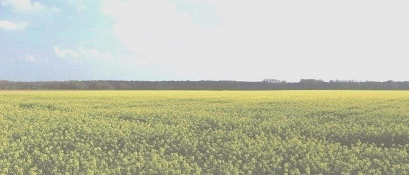 Platzhalter_Website.jpg