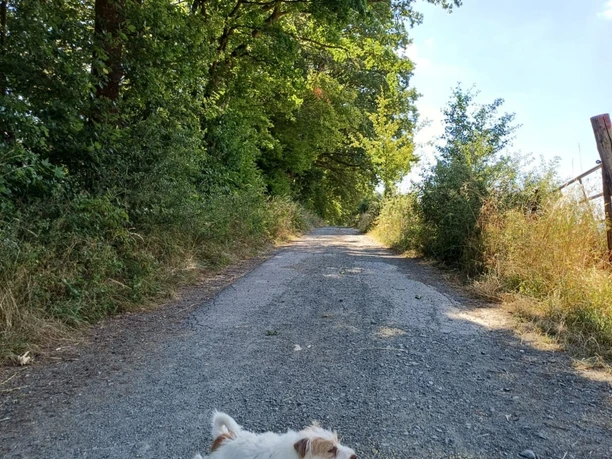 Graf-Hanse-Weg_Wegverlauf.jpg
