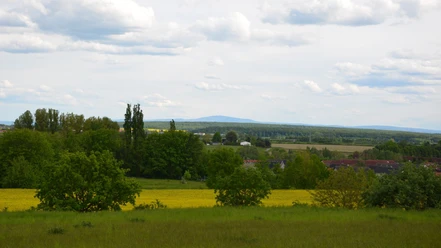 Weitblick vom Lindenberg über Felder, Bäume und Salzgitter-Thiede unter Wolkenhimmel.