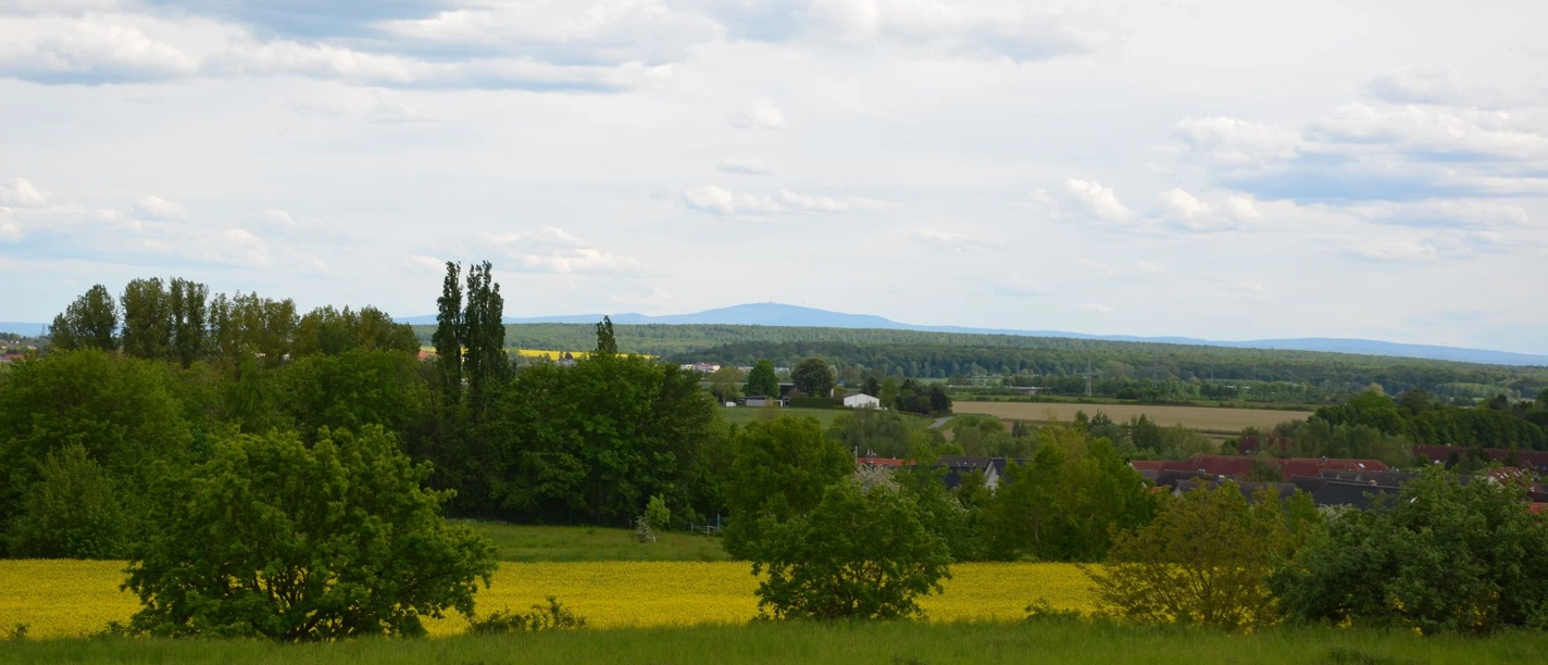 Weitblick vom Lindenberg über Felder, Bäume und Salzgitter-Thiede unter Wolkenhimmel.