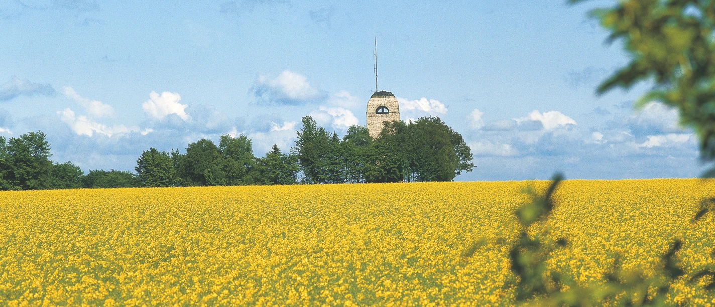 Quelle_Dülberg.jpg