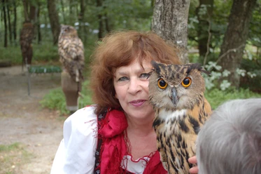 greifvogelgehege-führungen-bispingen