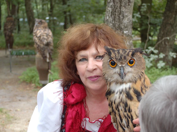 greifvogelgehege-führungen-bispingen