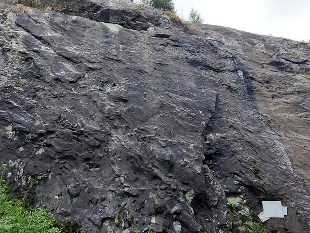 Wallisertitsch_2.jpg