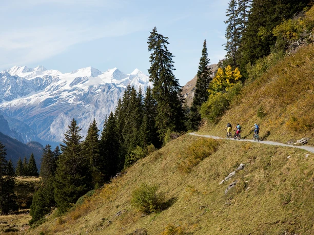 Vier-Seen-Biketour