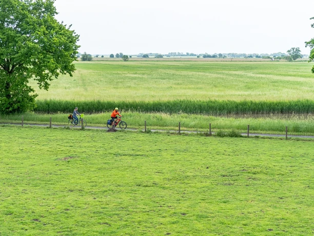 Radelnde in der Wesermarsch