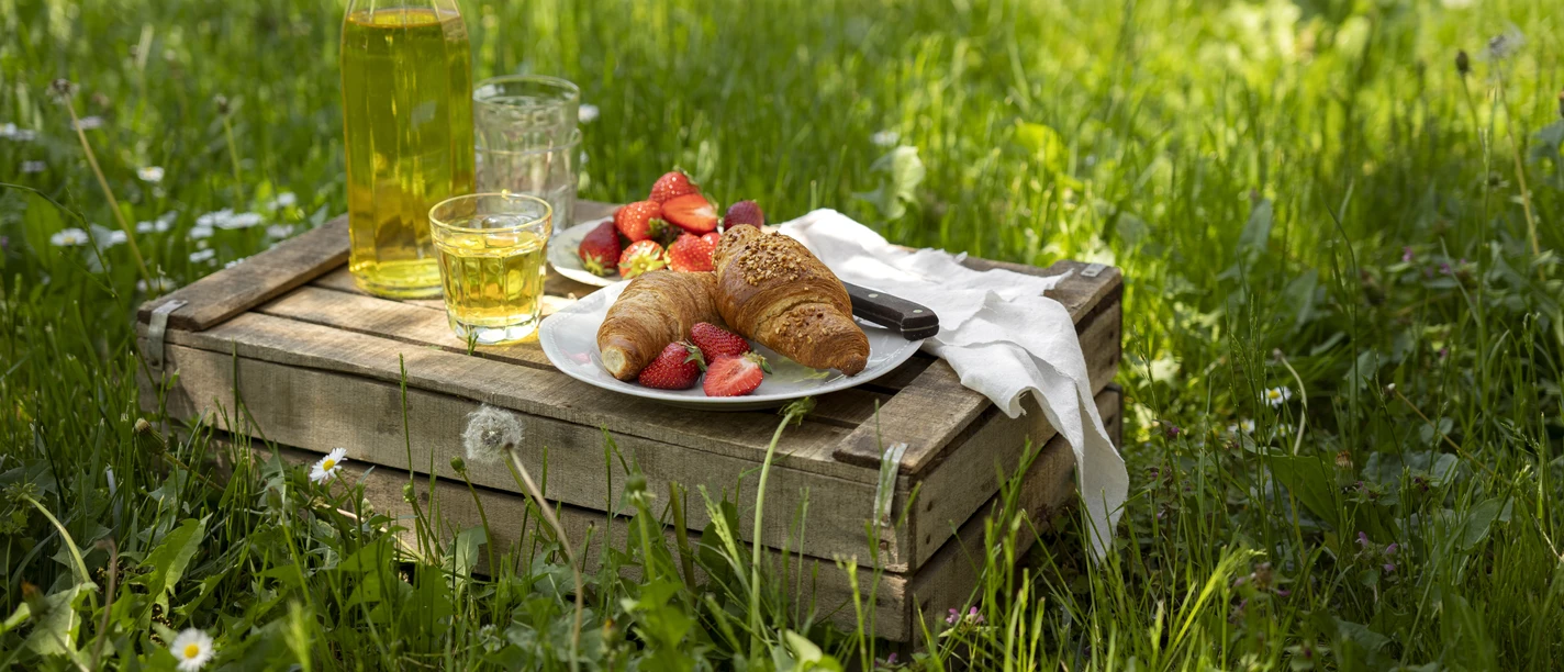 Frühstück und Waldglück 2.jpg