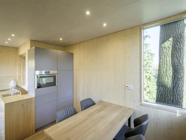 Heller Küchen- und Essbereich in einem modernen Baumhaus mit Blick auf einen massiven Baumstamm.