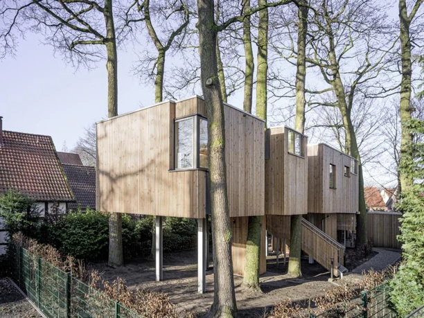 Moderne Baumhäuser auf Stelzen mit heller Holzfassade zwischen hohen Bäumen.