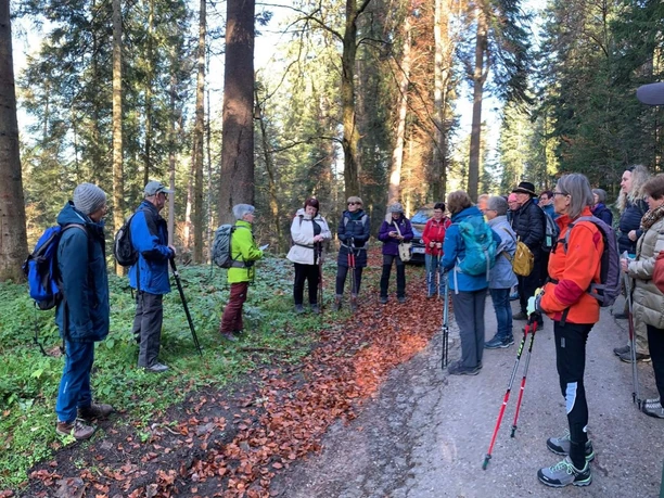 Wandergruppe im Herbstwald Wandergruppe im Herbstwald