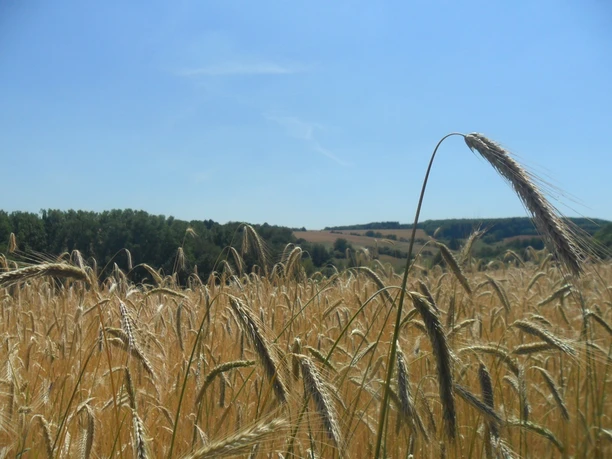 Landschaft auf dem Bach- und Burrenpfad Landschaft auf dem Bach- und Burrenpfad