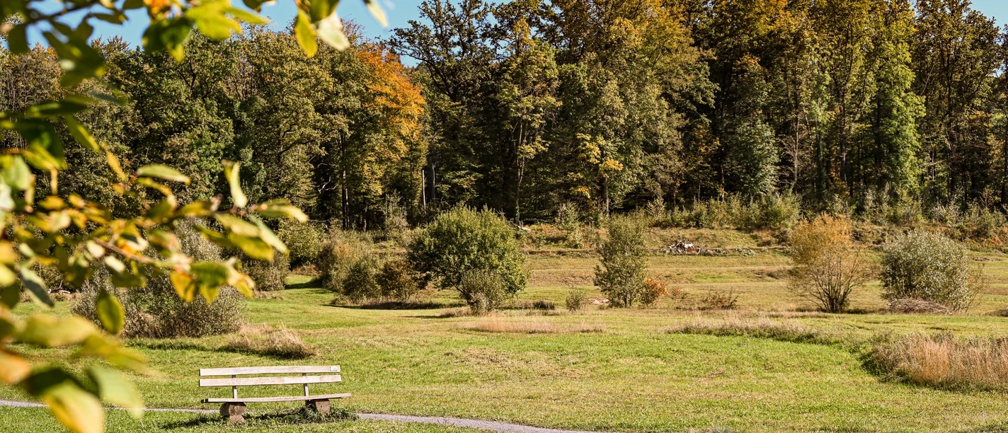 Herbst im Naturerholungsgebiet Allmend