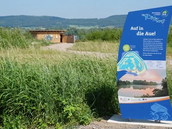 Auenlandschaft Hohenrode