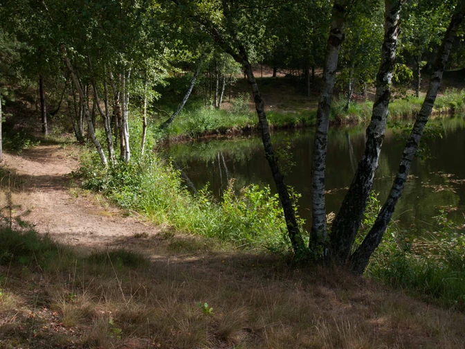 Aussicht entlang des Weges