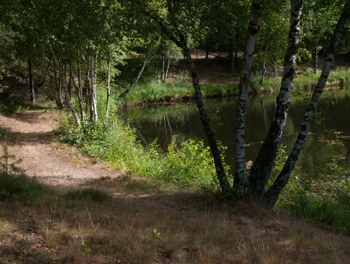 Aussicht entlang des Weges